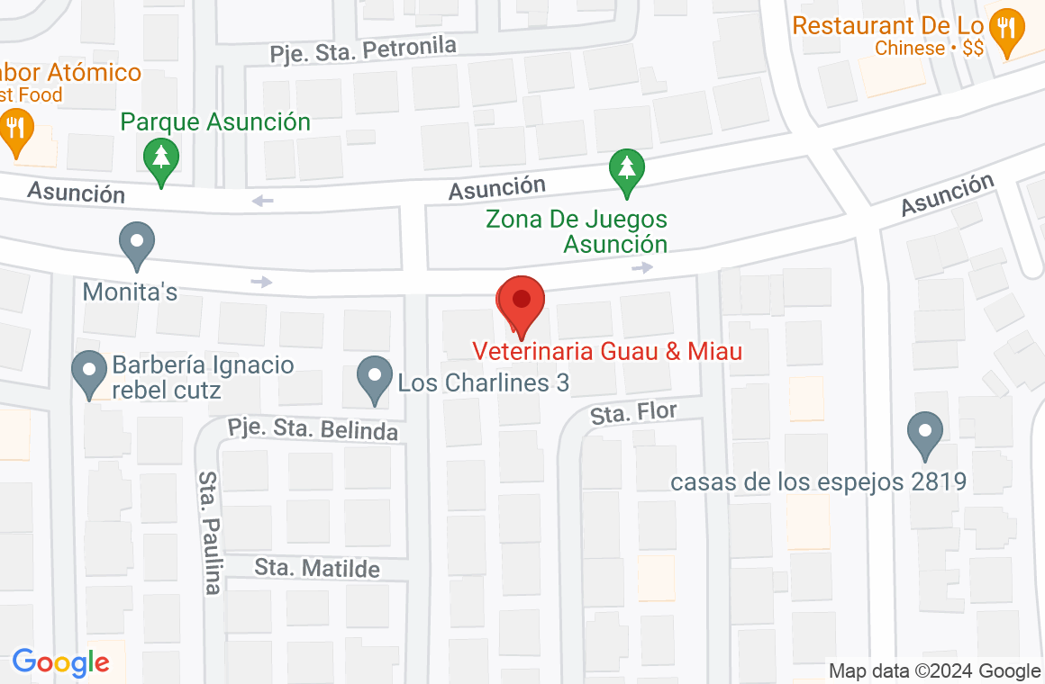 Ubicación de Veterinaria Guau y Miau - Sucursal Asunción